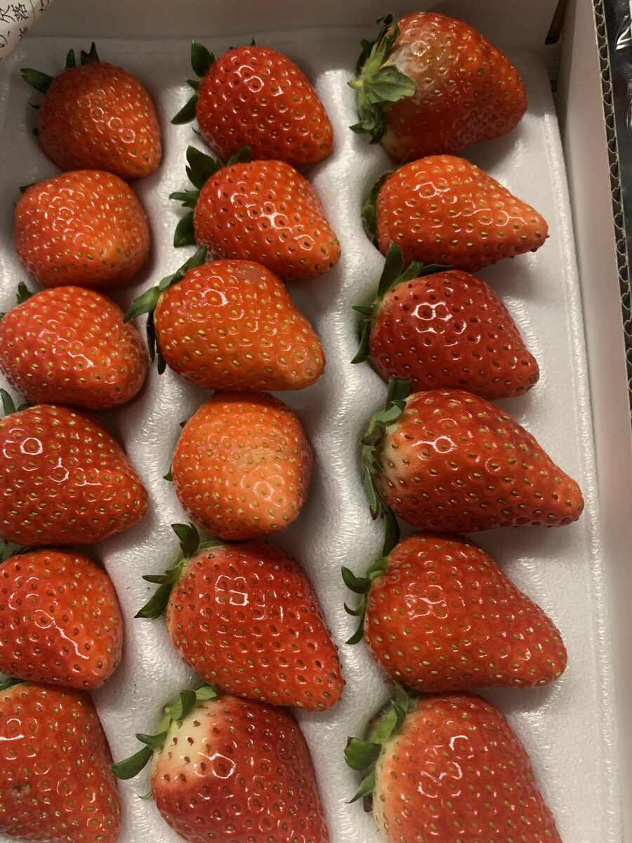 Japanische Erdbeeren