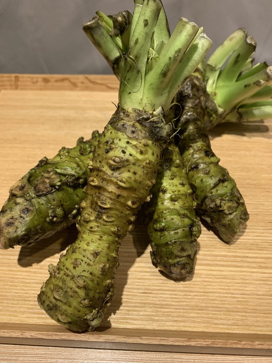 Frischer japanischer Wasabi